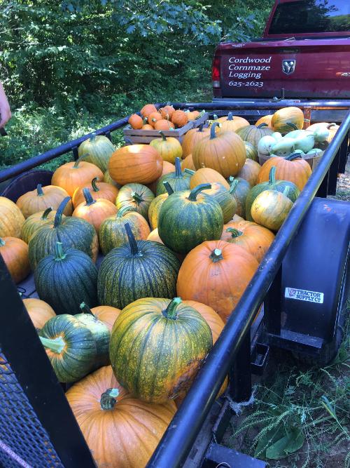 Hicks Family Farm Produce