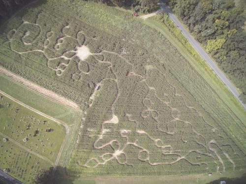 Hicks Family Farm Corn Maze 2018