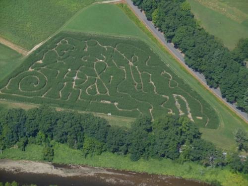 Hicks Family Farm Corn Maze 2016