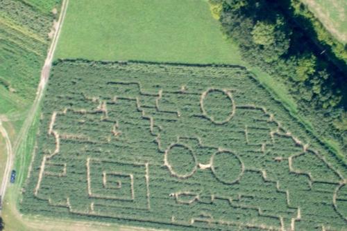 Hicks Family Farm Corn Maze 2012