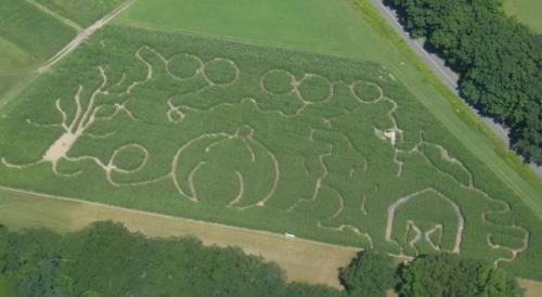 Hicks Family Farm Corn Maze 2014