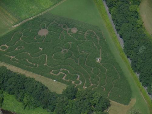 Hicks Family Farm Corn Maze 2015