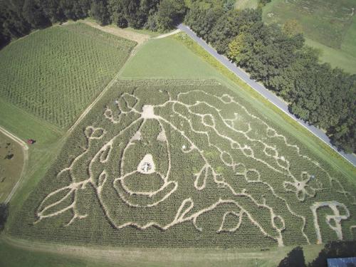 Hicks Family Farm Corn Maze 2017