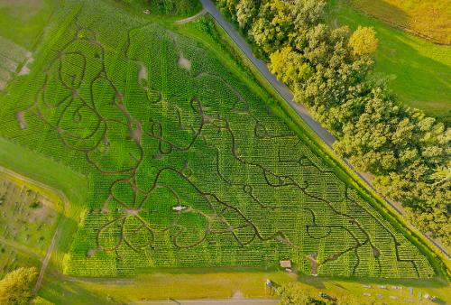 Hicks Family Farm Corn Maze 2023