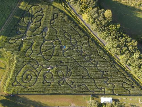 Hicks Family Farm Corn Maze 2020