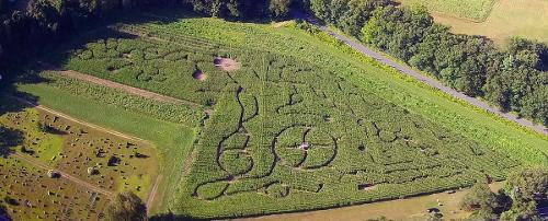 Hicks Family Farm Corn Maze 2019