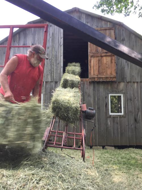 Hicks Family Farm Photos